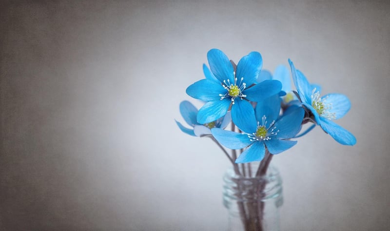 Summer Flower Arrangement